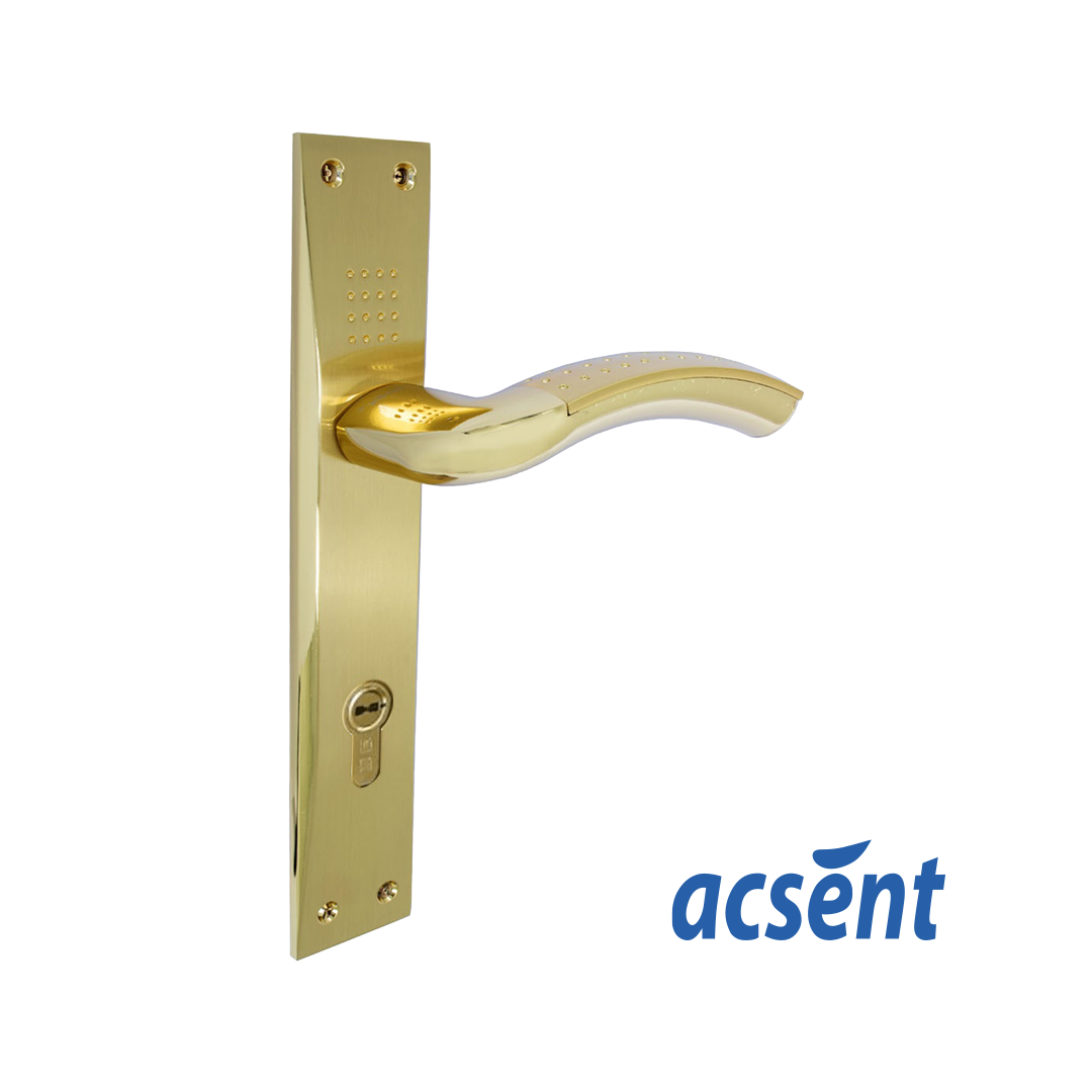 Door Handle Zinc Acsent 802H001 SG/GP