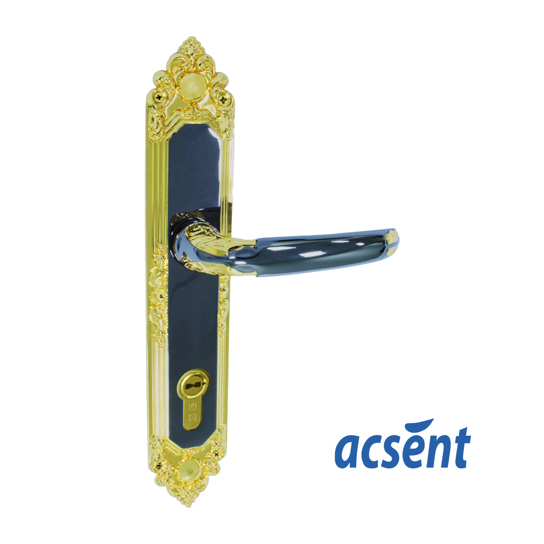 Door Handle Zinc Acsent 810H025 BN/GP