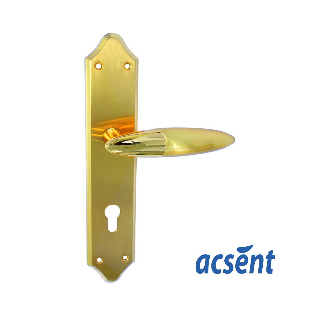 Door Handle Zinc Acsent 848H104 SGGP