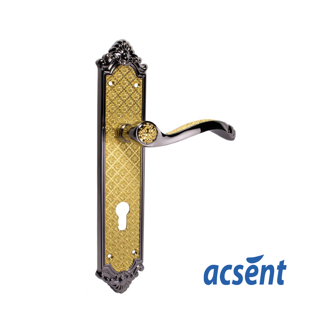Door Handle Zinc Acsent DZL966-113-BN/GP