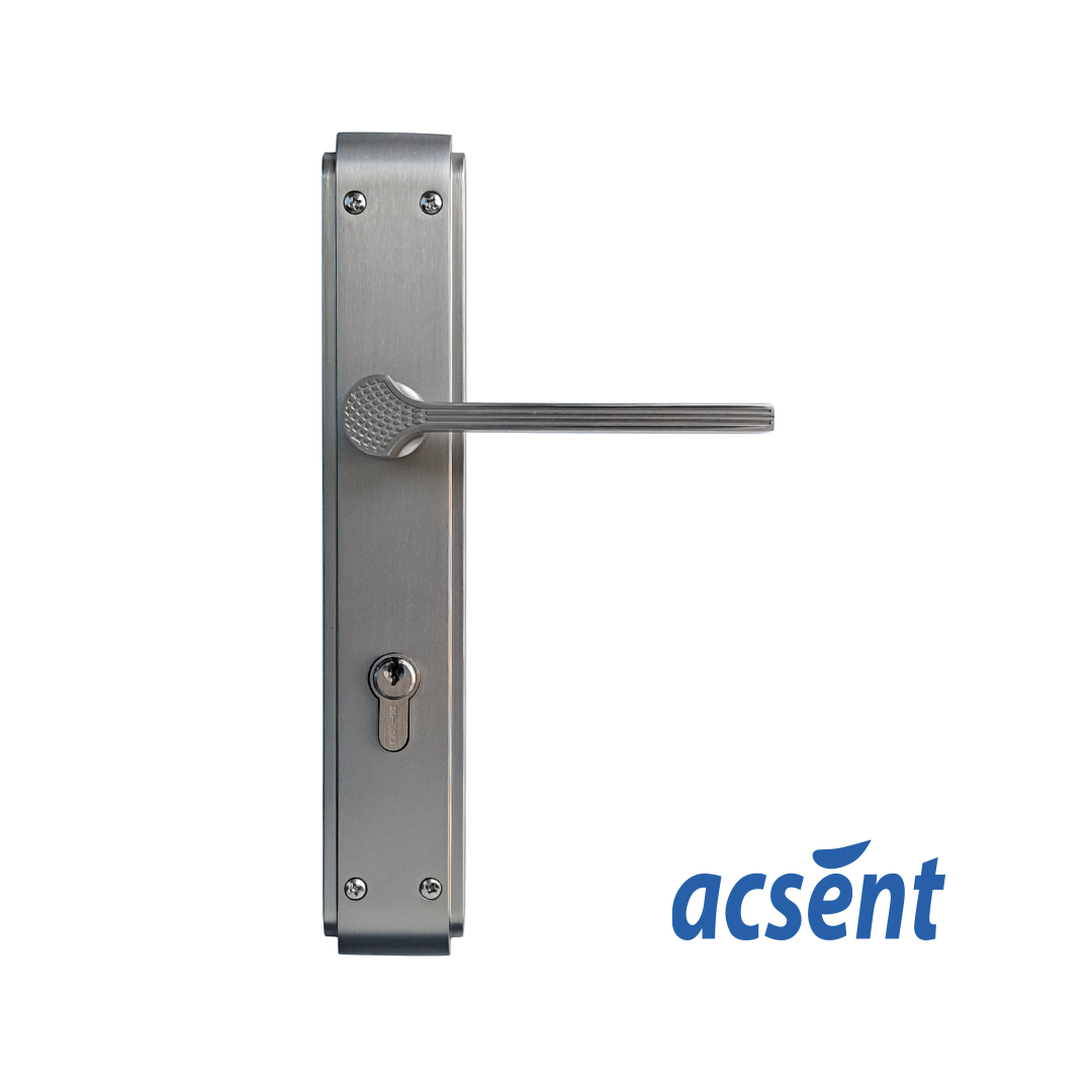 Door Handle Zinc Acsent PL099-H305 MSN
