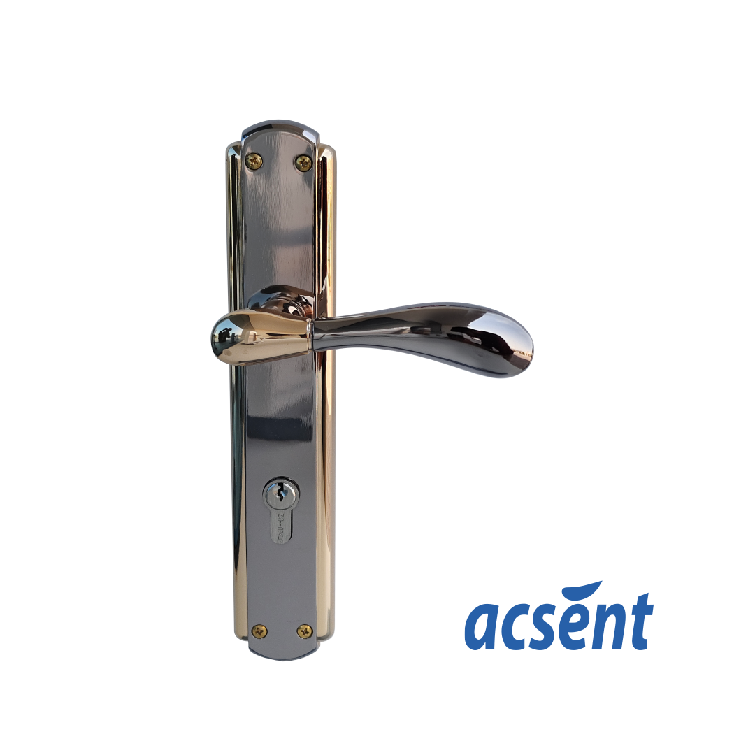 Door Handle Zinc Acsent PL158-H017 BN/RGP