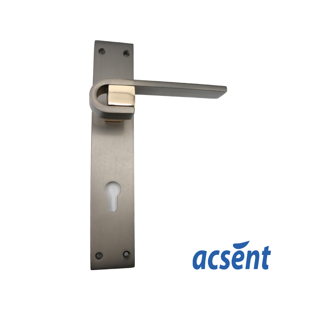 Door Handle Zinc Acsent PL222-H294 BS/RGP