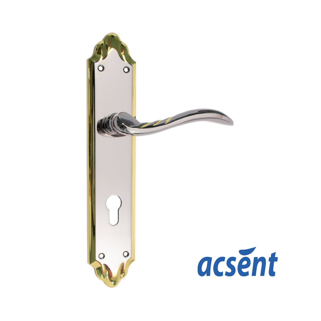 Door Handle Zinc Acsent ZL910-Z38- BNGP