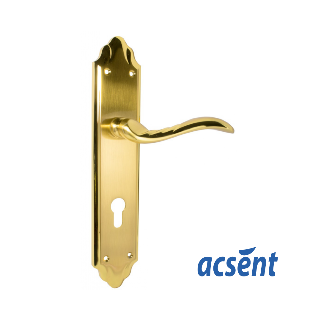 Door Handle Zinc Acsent ZL910-Z38- SG/GP